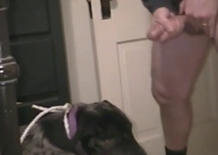 Cumming on the face of my sexy doggy
