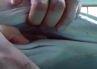Brave cameraman is filming the pussy of a dolphin